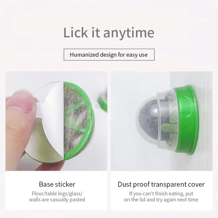 CatNip JoyBall — Wall-Mount Cat Treat & Toy